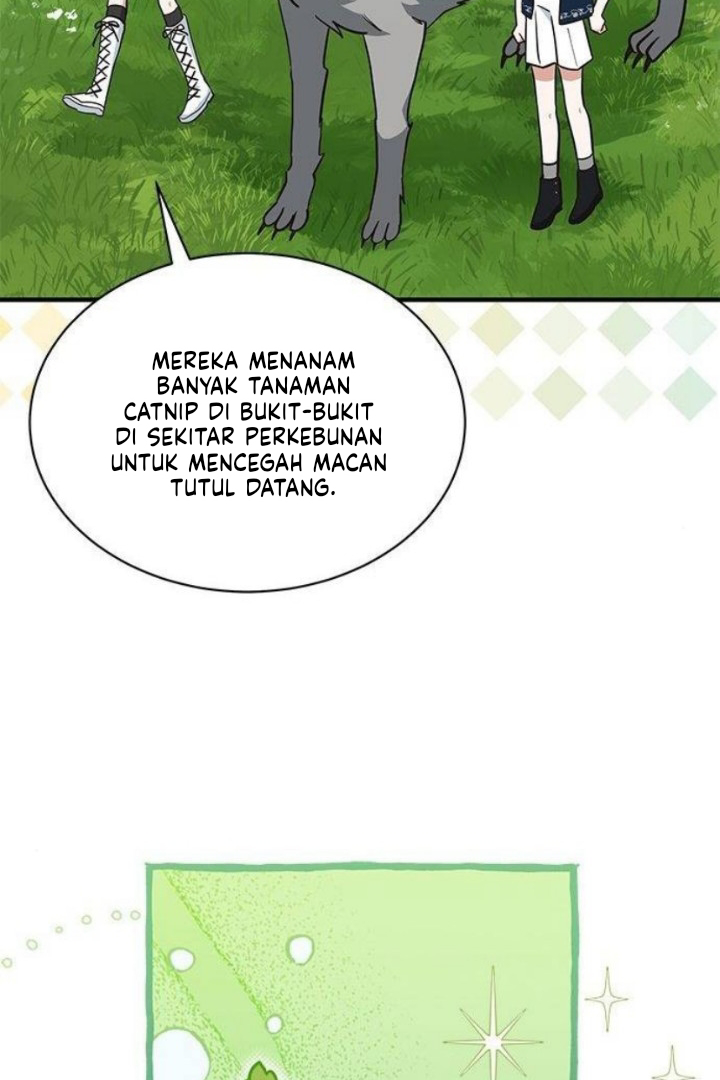 image 39