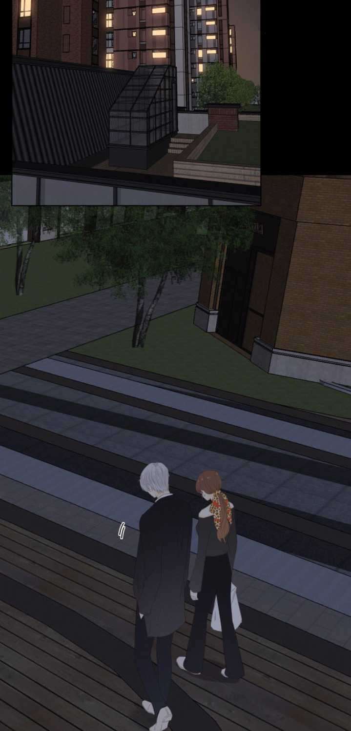 image 29