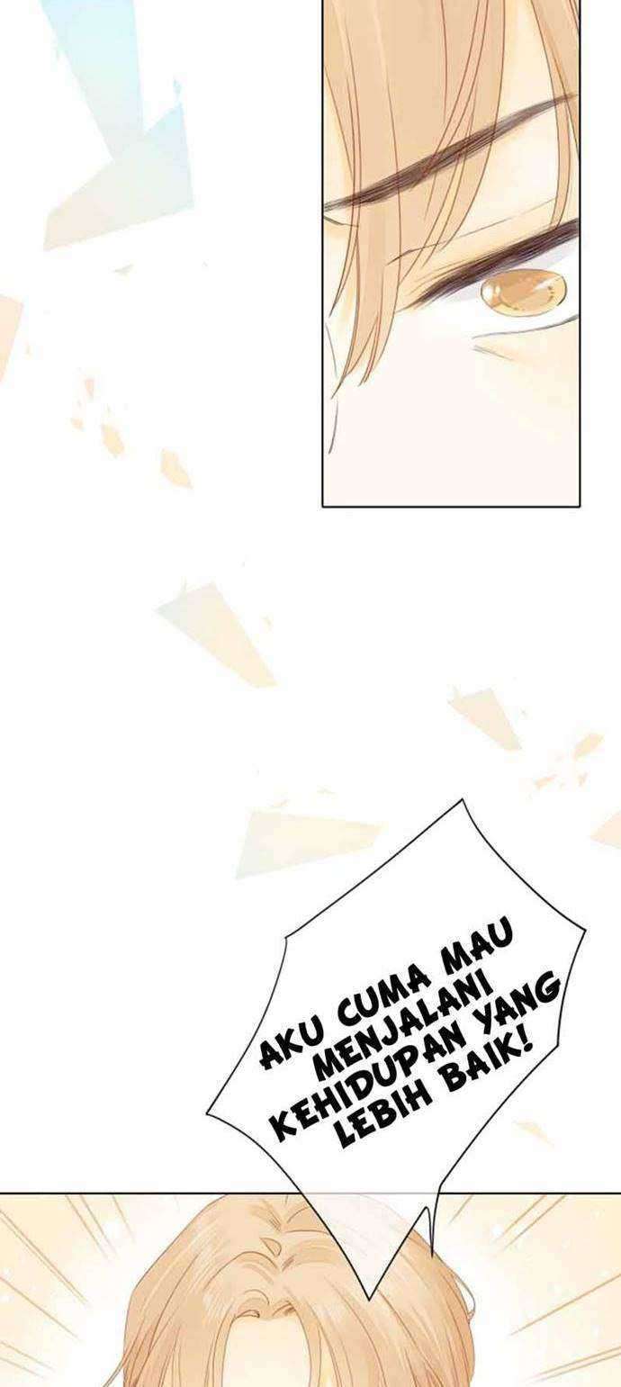 image 23