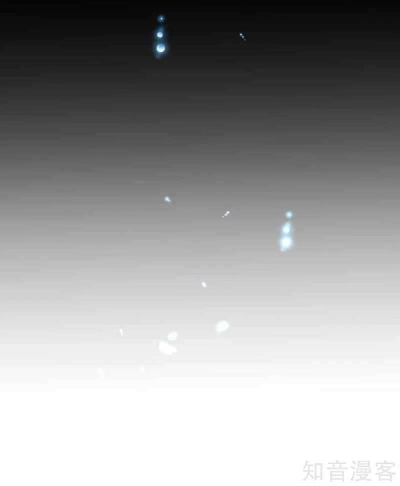 image 29