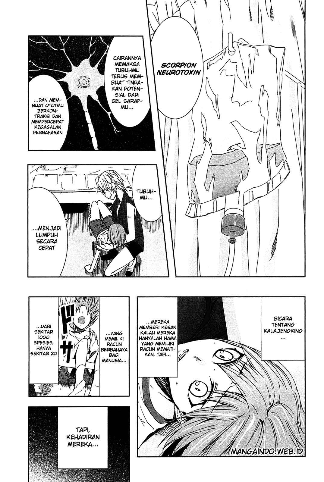 image 37