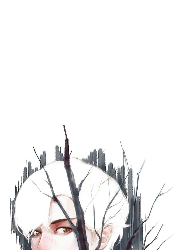 image 33