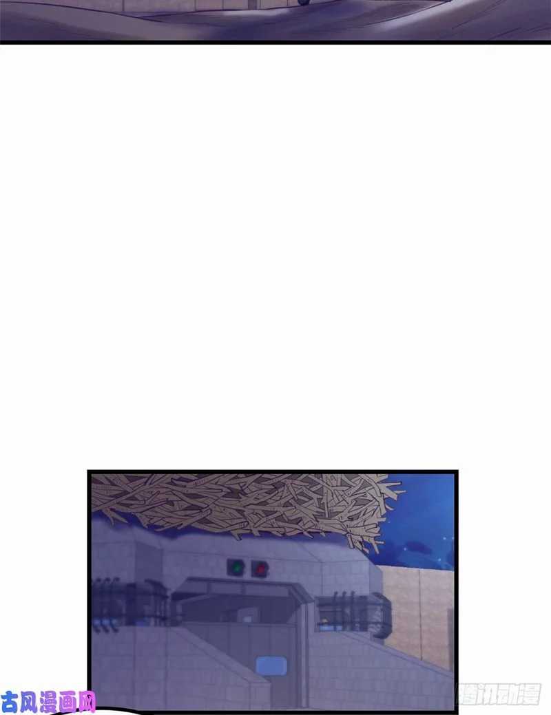 image 45