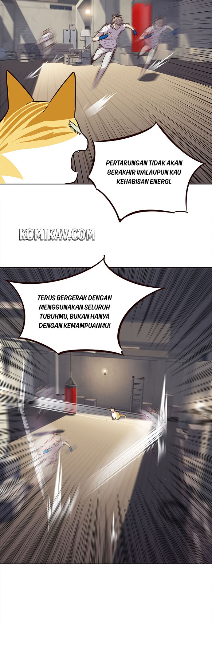 image 37
