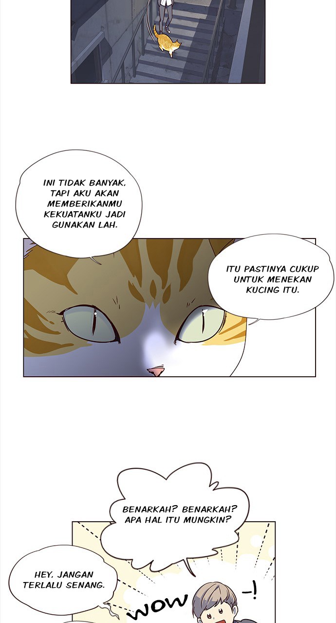image 38