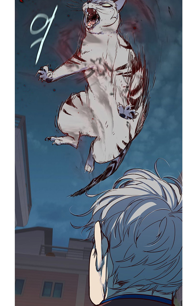 image 39