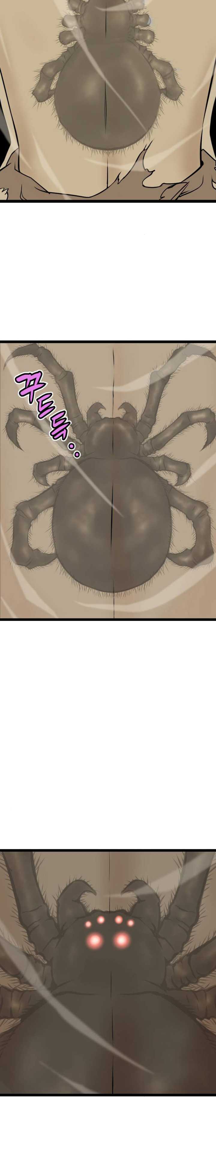 image 31