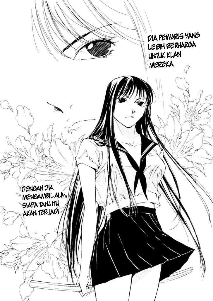 image 32