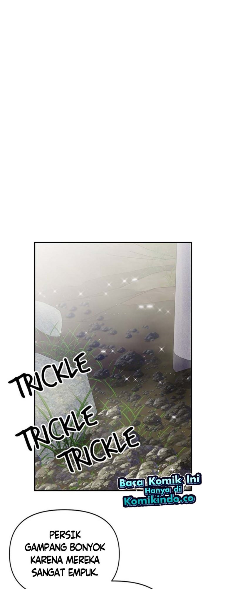 image 31
