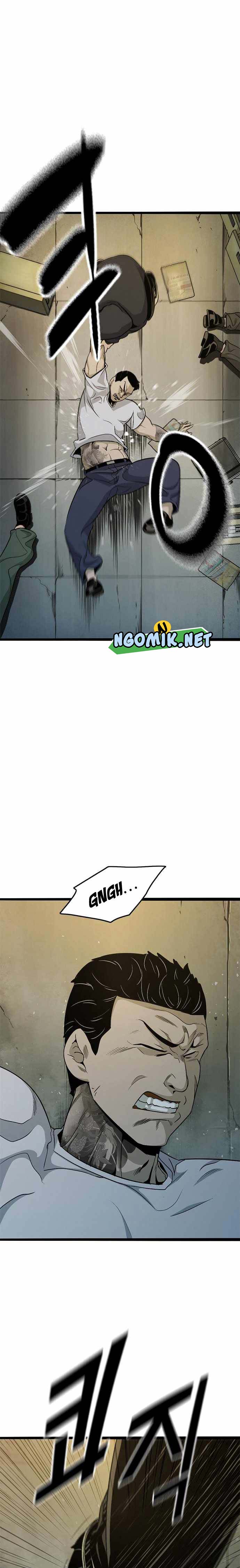 image 41