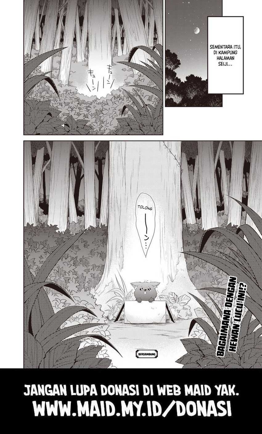 image 33