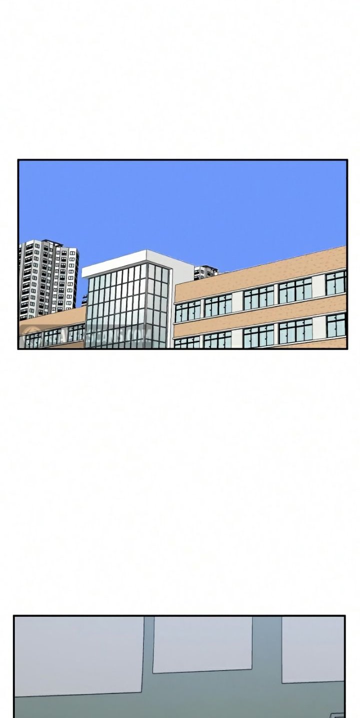 image 45