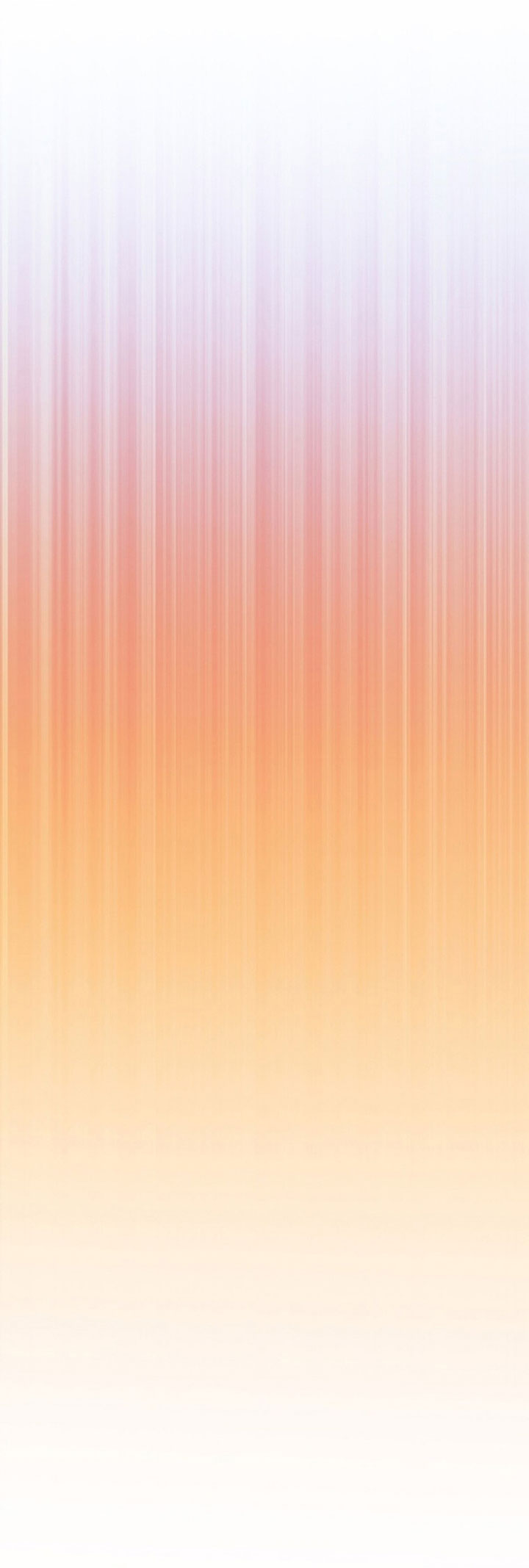 image 41