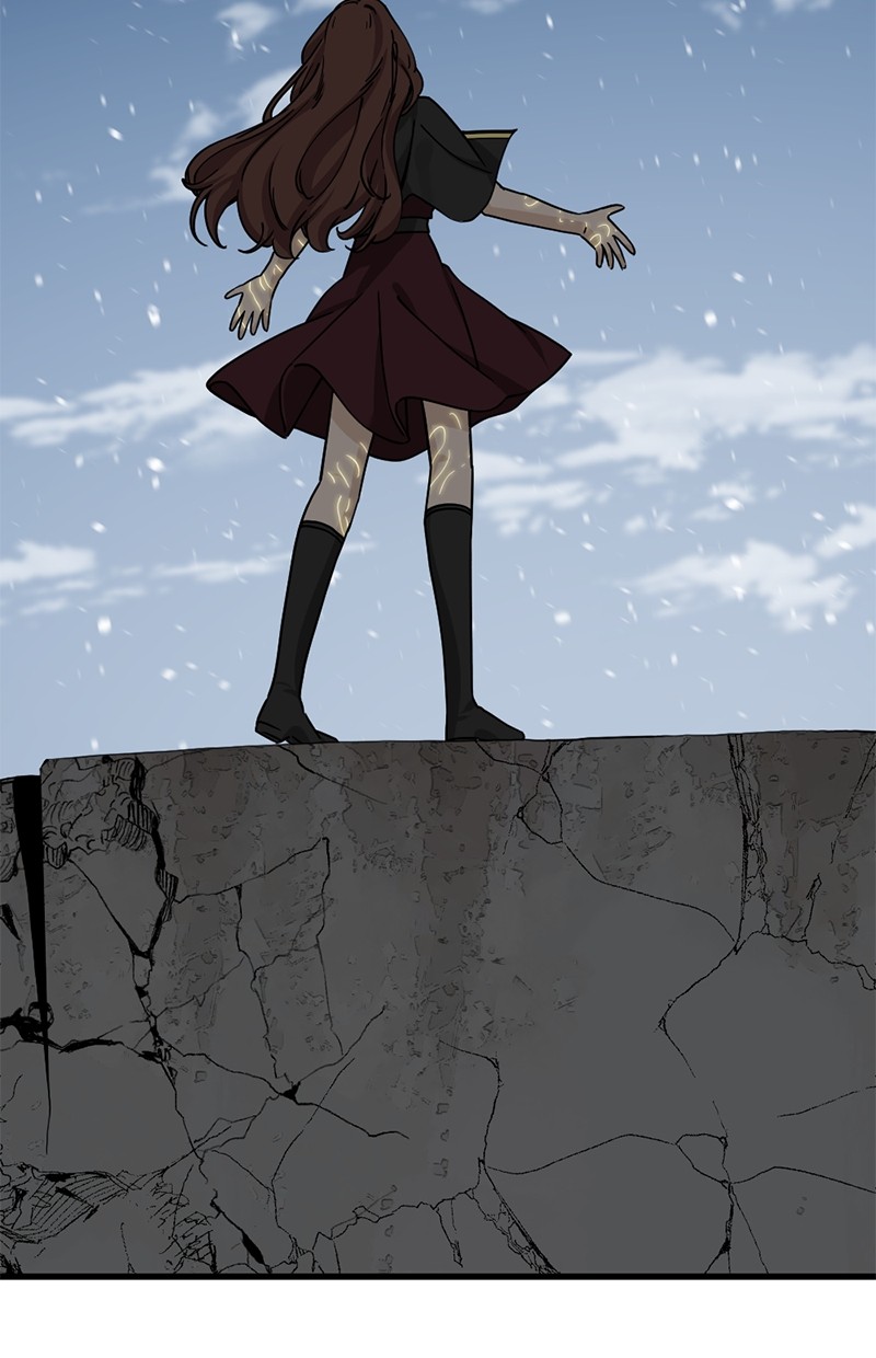 image 37
