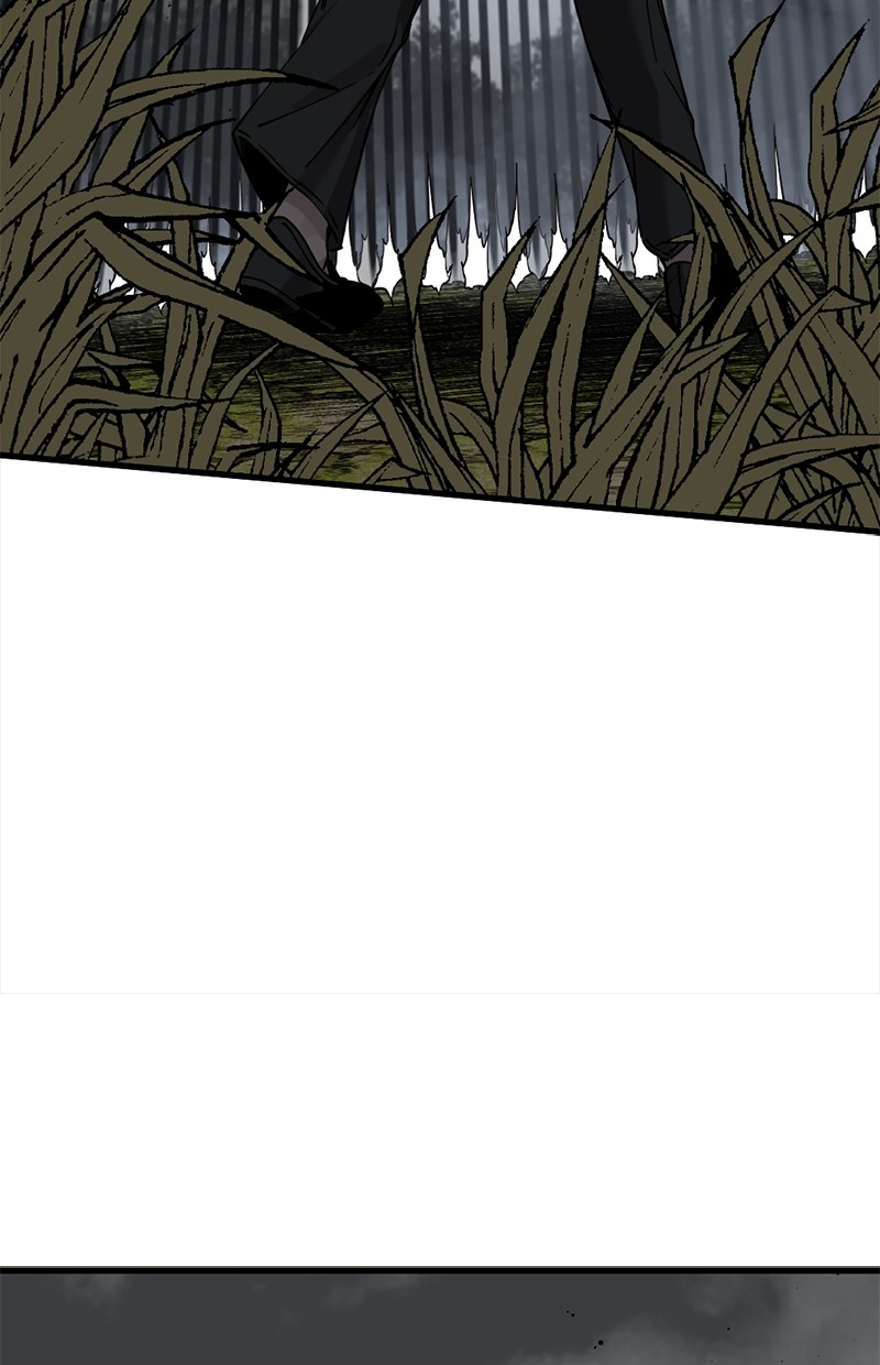 image 37