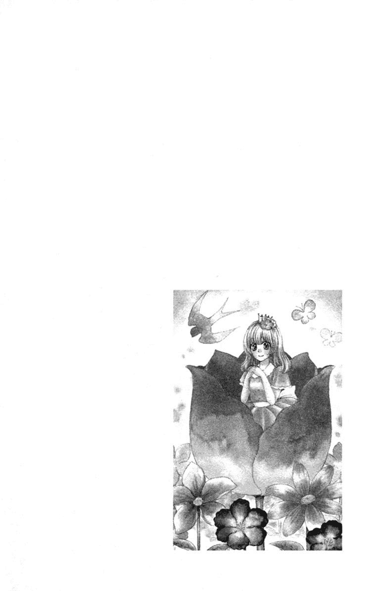 image 32