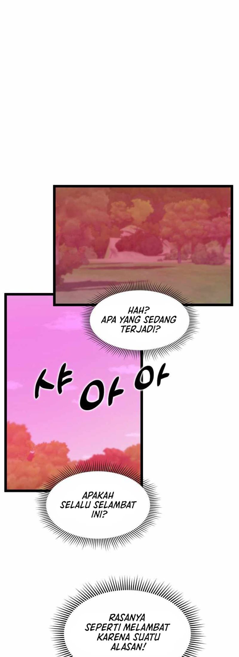image 33