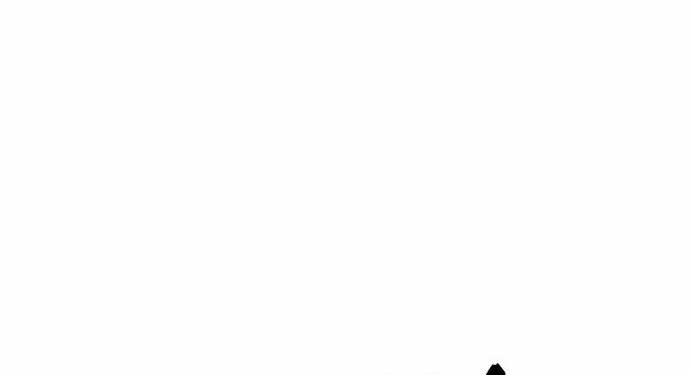 image 237