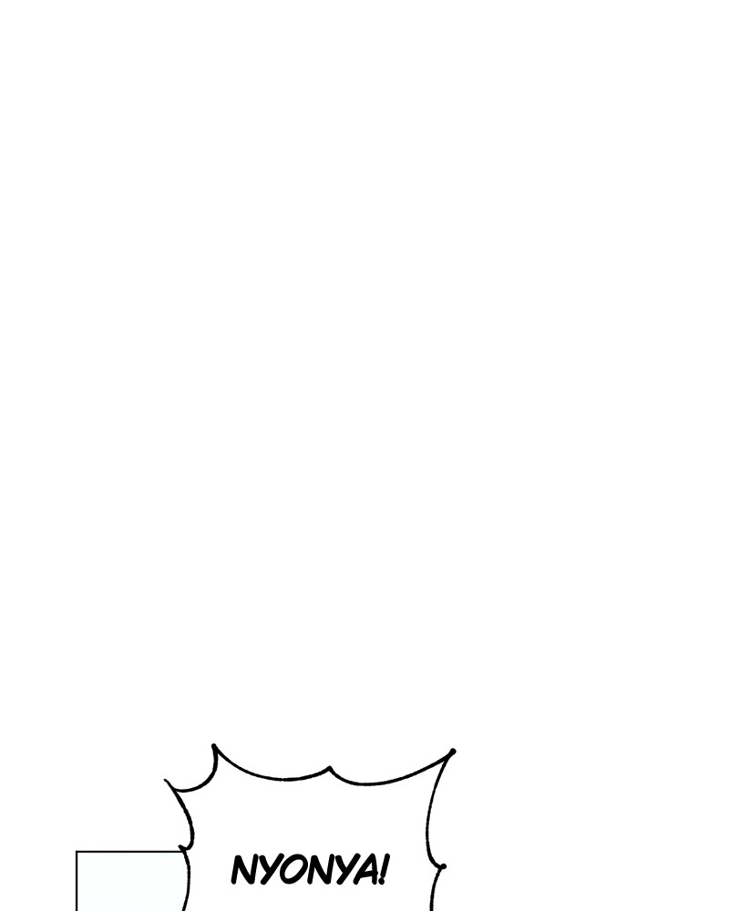 image 37