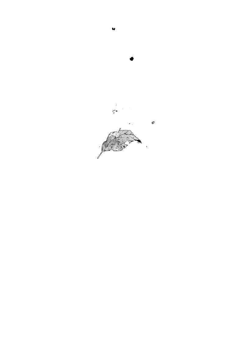 image 24