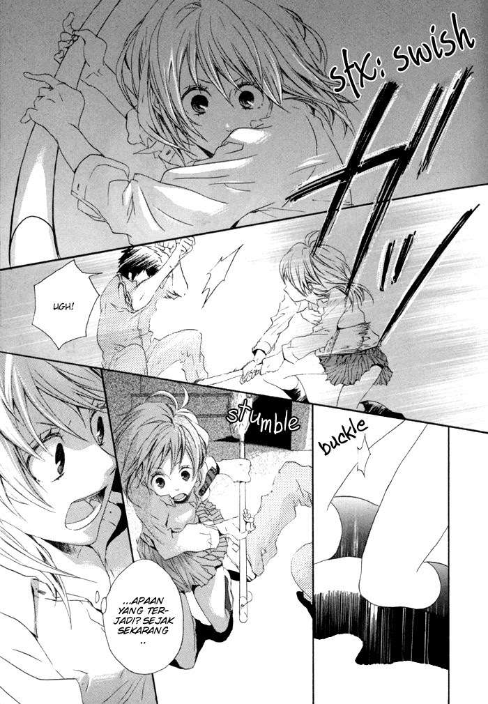 image 34