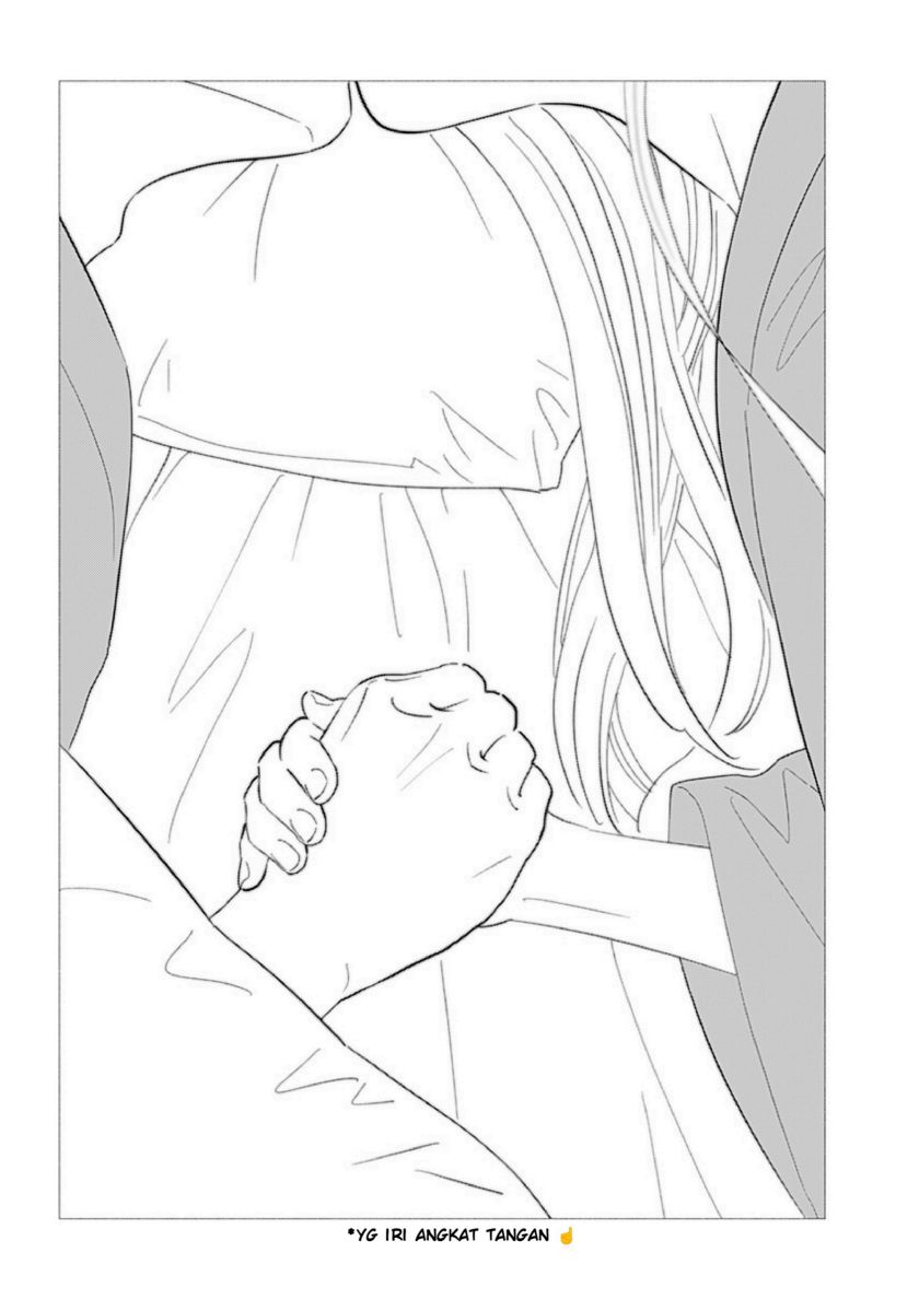 image 23