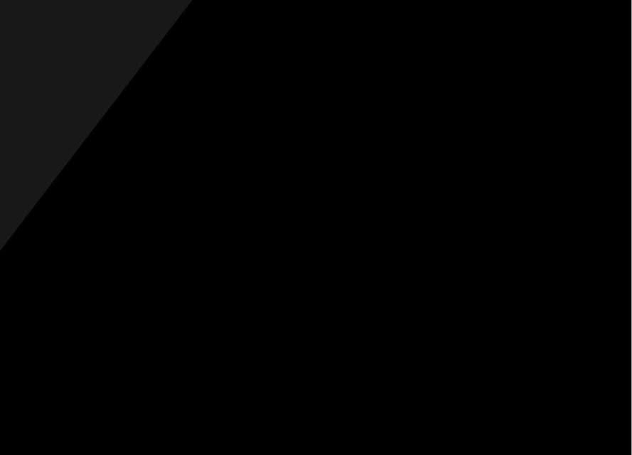 image 41
