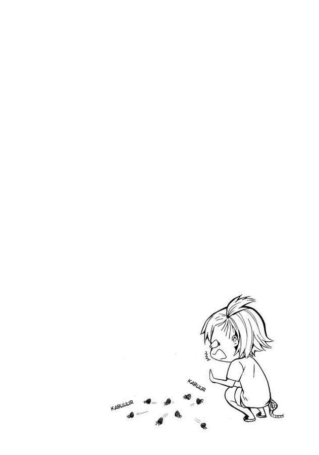image 32