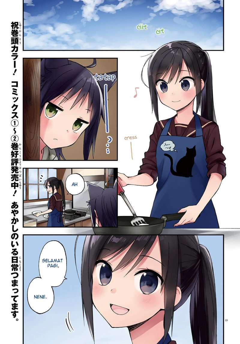 image 0