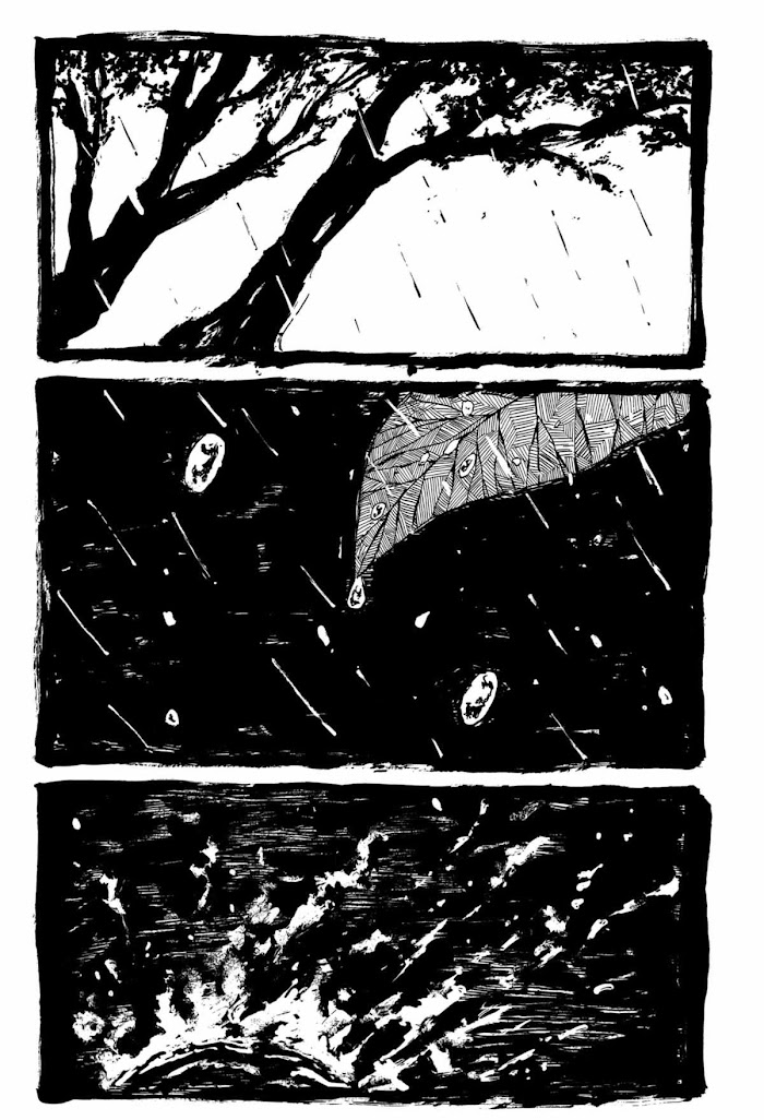 image 24