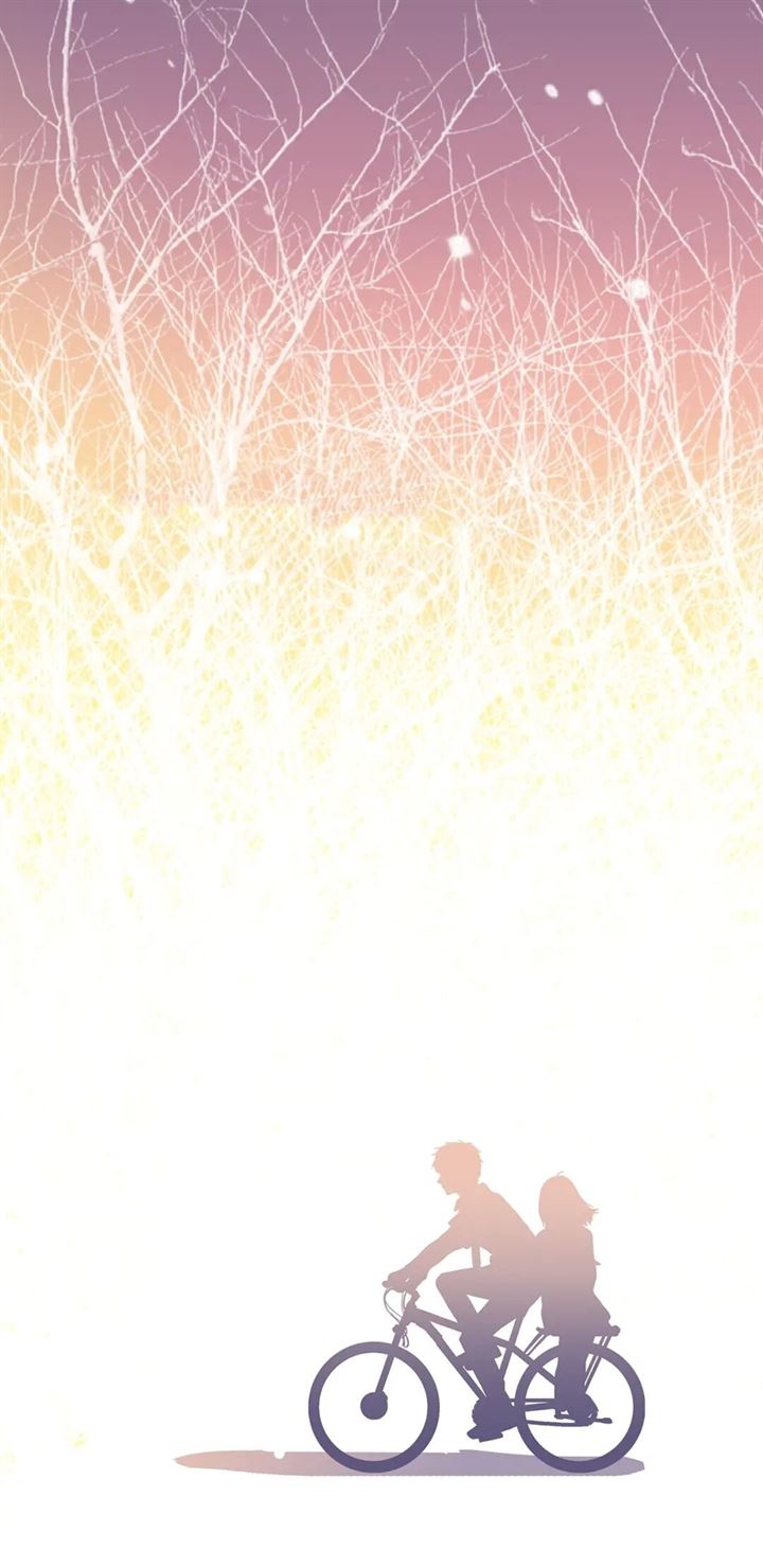 image 23