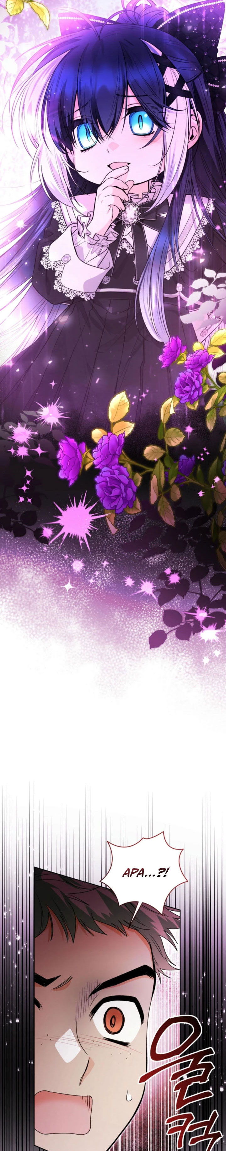 image 27