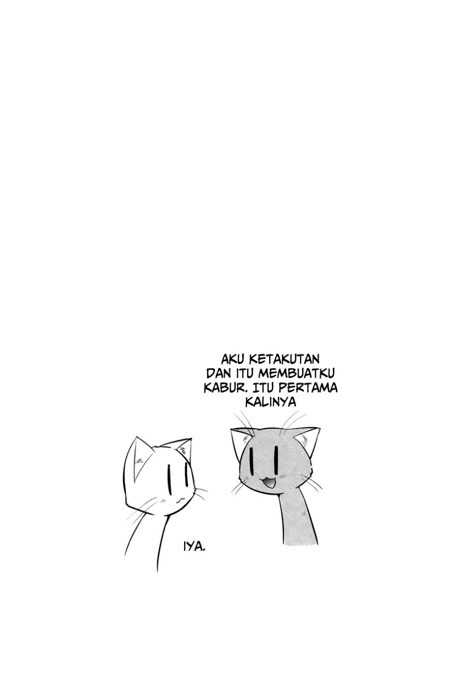 image 40
