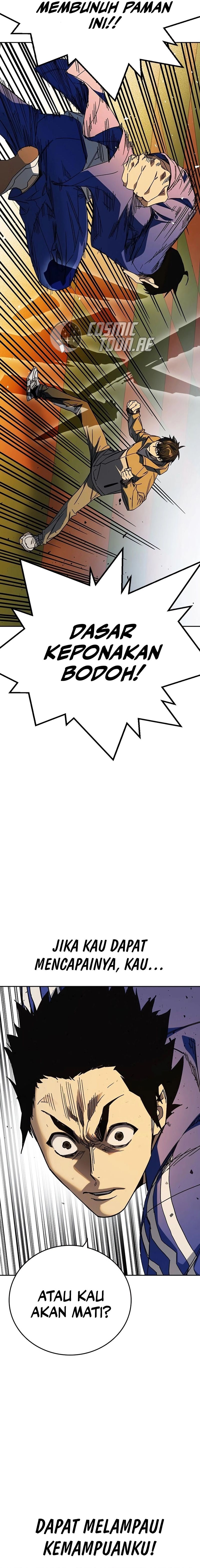 image 25