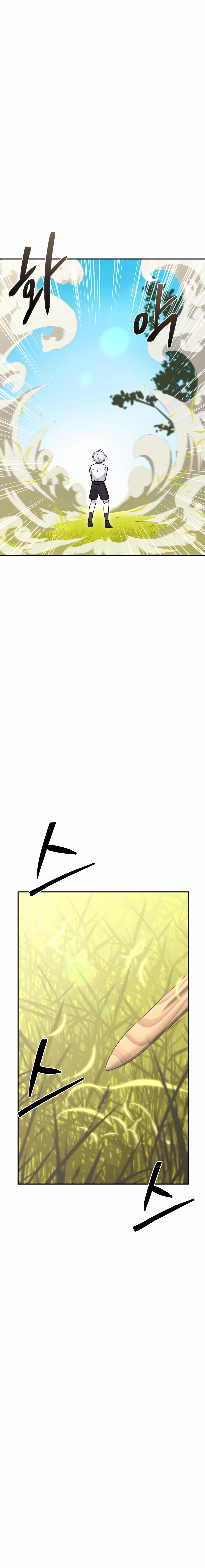 image 33