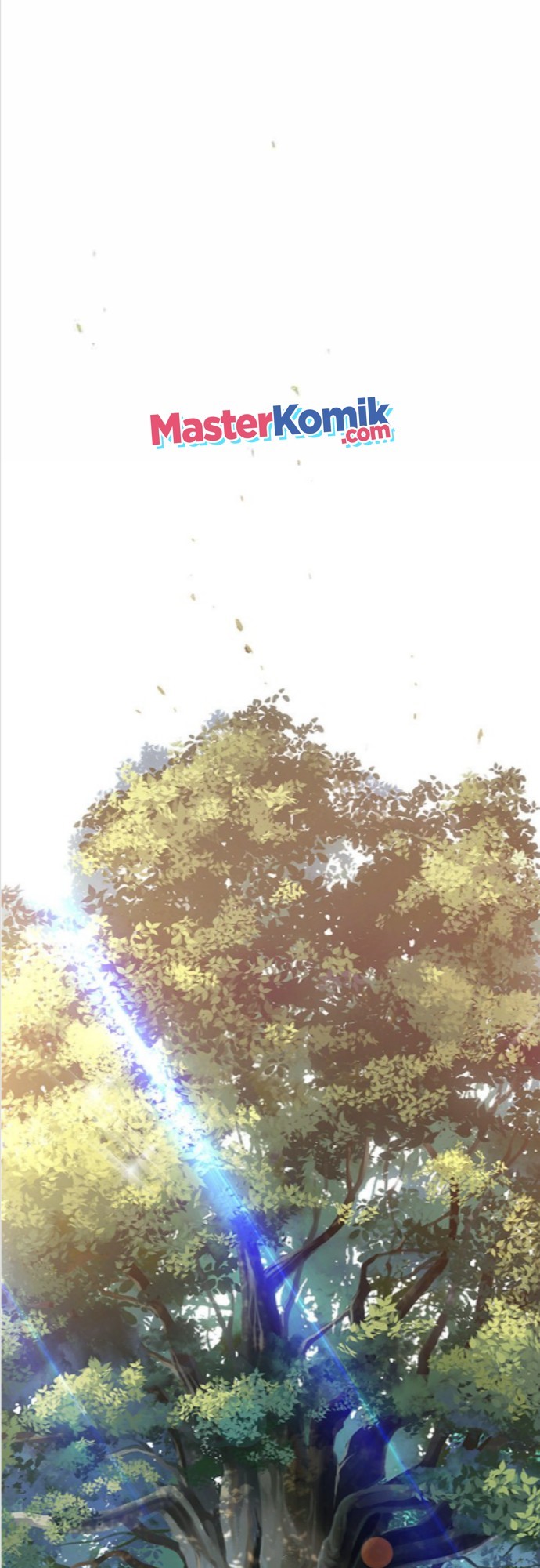 image 24