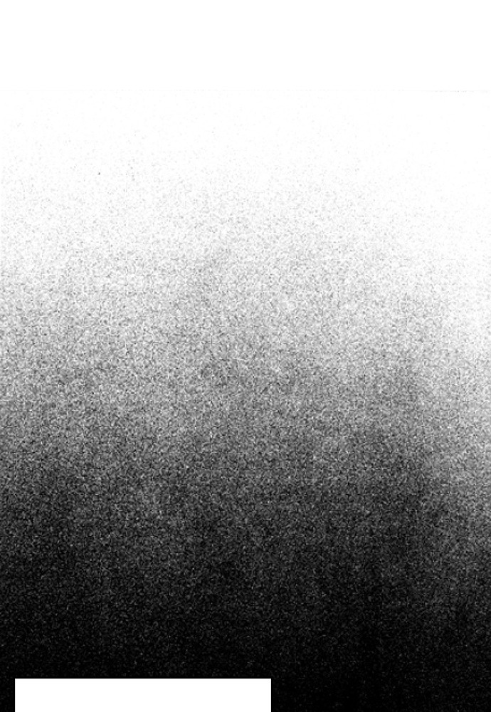 image 16