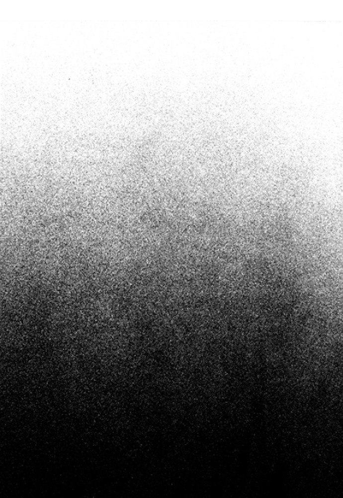 image 194