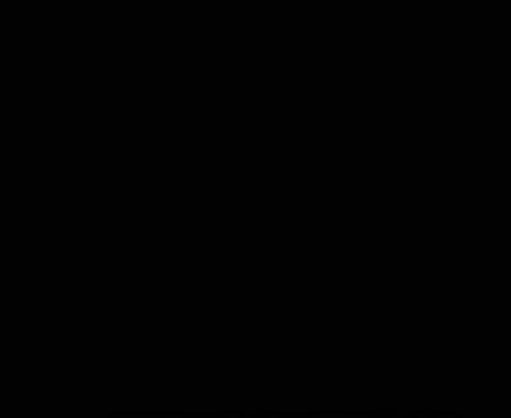 image 29