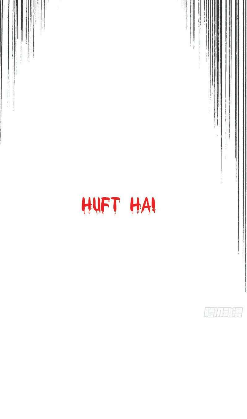 image 29