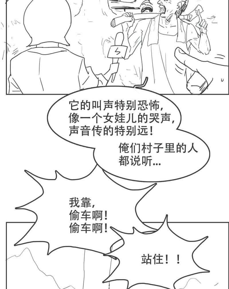 image 52