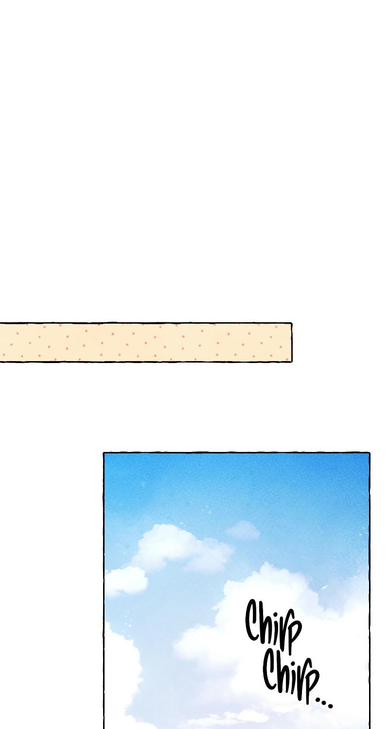 image 37