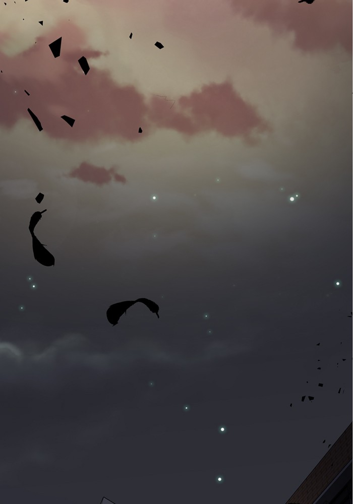 image 333