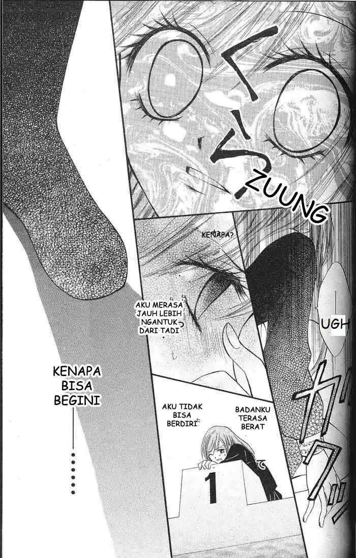 image 33
