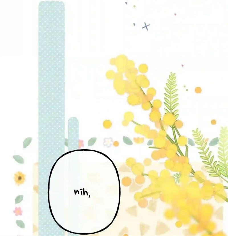 image 31