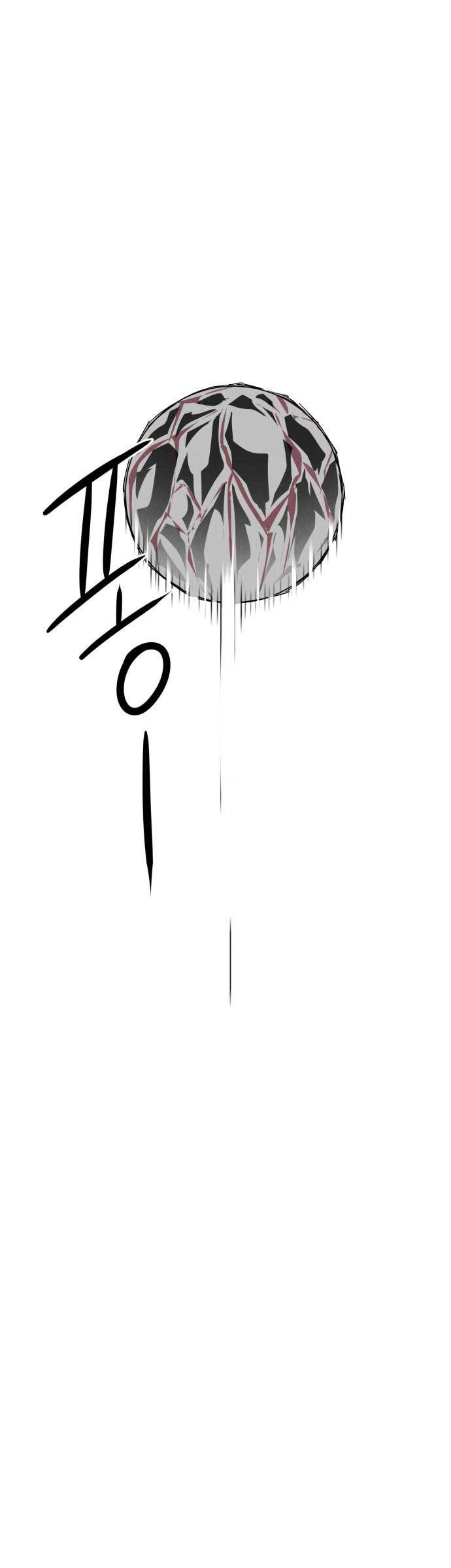 image 24