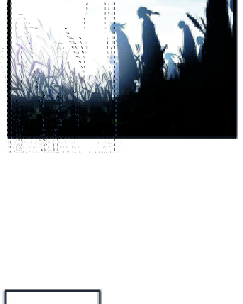 image 29
