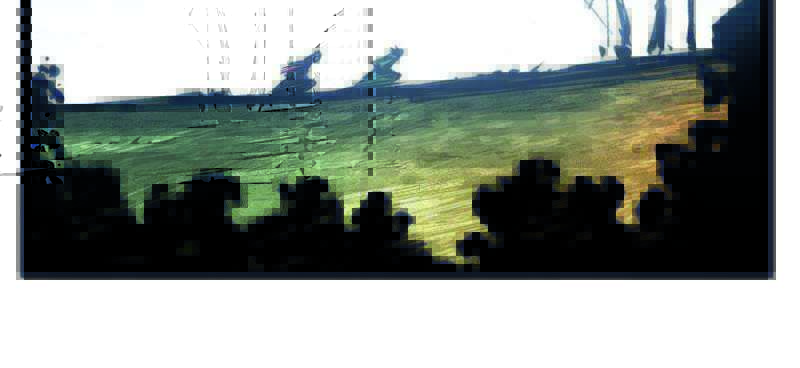 image 41