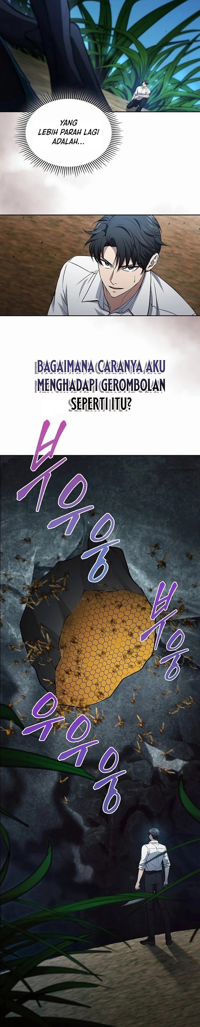 image 31