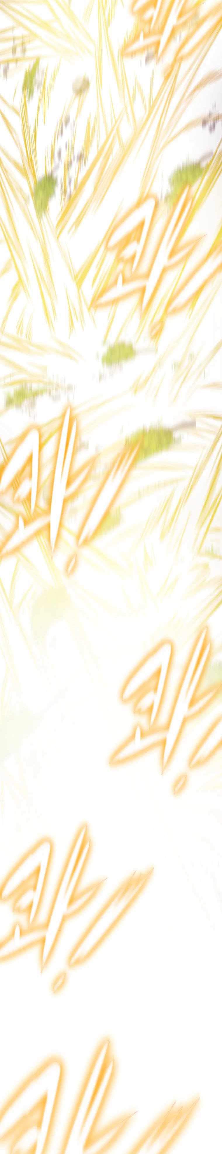 image 35